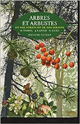 Arbres et arbustes 